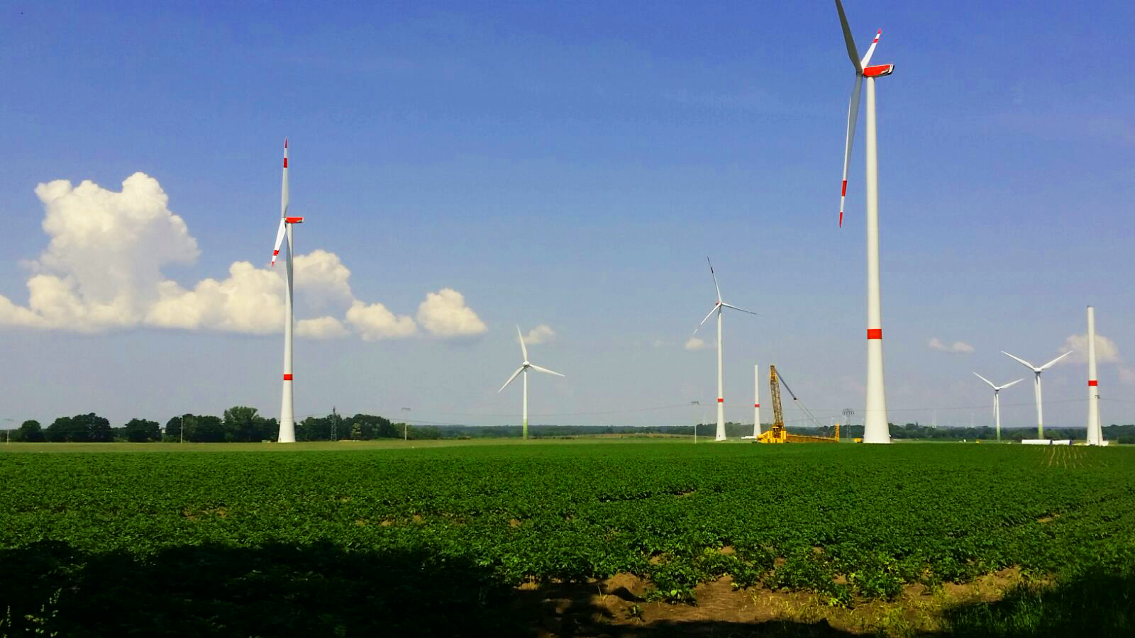 Picture of the wind farm Kemnitz Sarnow